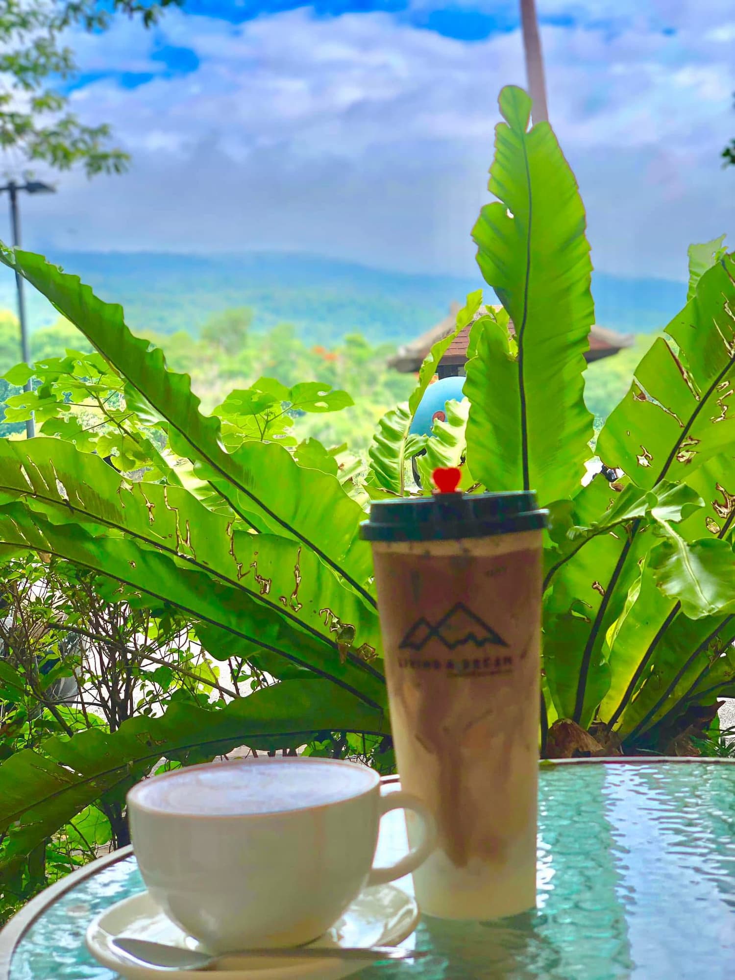 A coffee in a cup and another drink in a takeaway container on a table with trees and hills in the backround