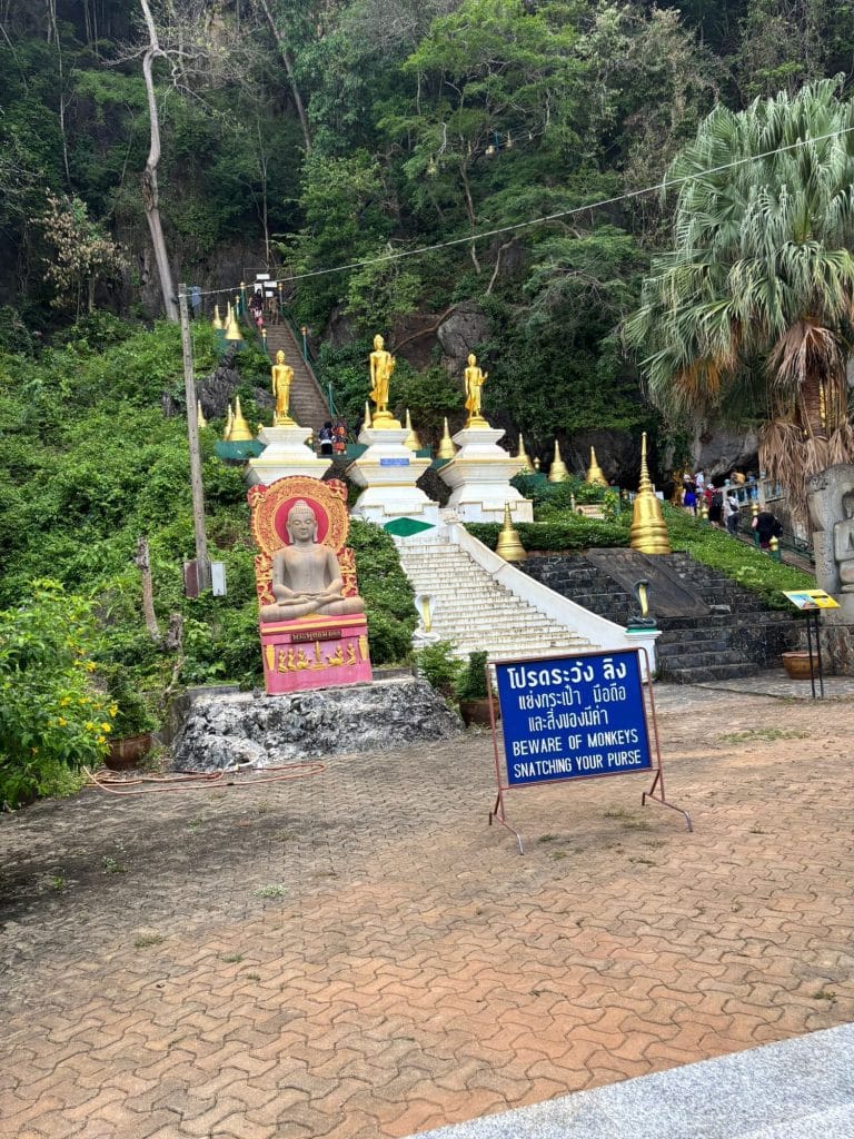 Some steps leading up into a tropical forest with status and signs marking the walkways.