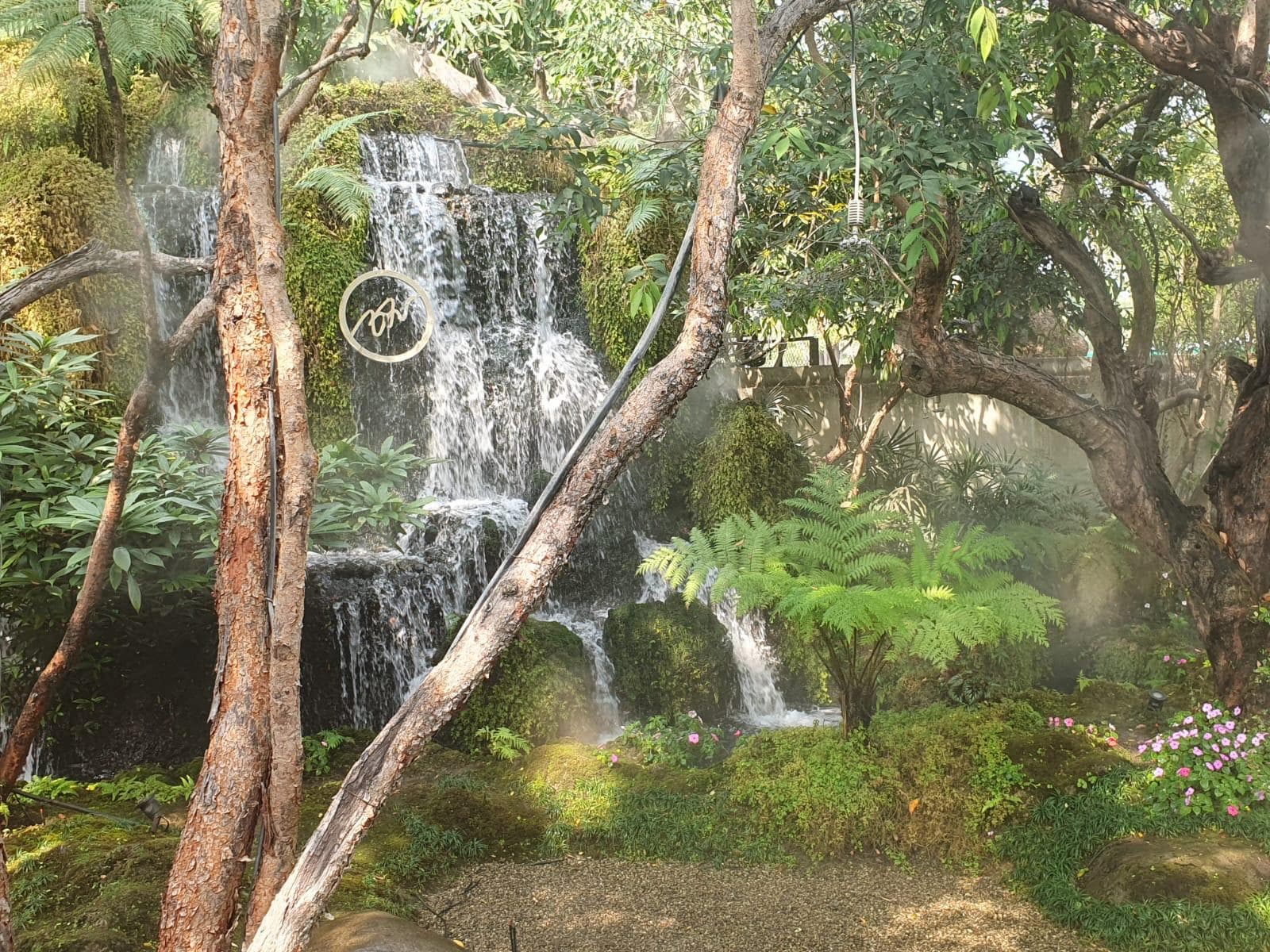 A waterfall in a tropical forest.