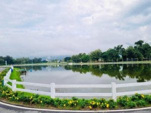 Trees lining a road and a lake in Thailand.