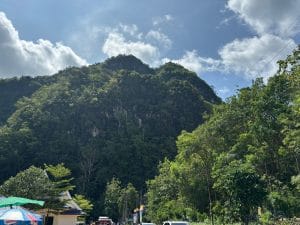 A photo of a mountain or hill region with trees growing all the way up.