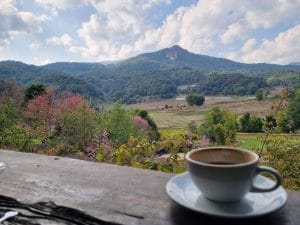 A cup of coffee on a side in the foreground with various fields, mountains and trees in the background
