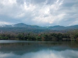 A dense area of trees and woods lines a large body of water, with a cloudy sky.